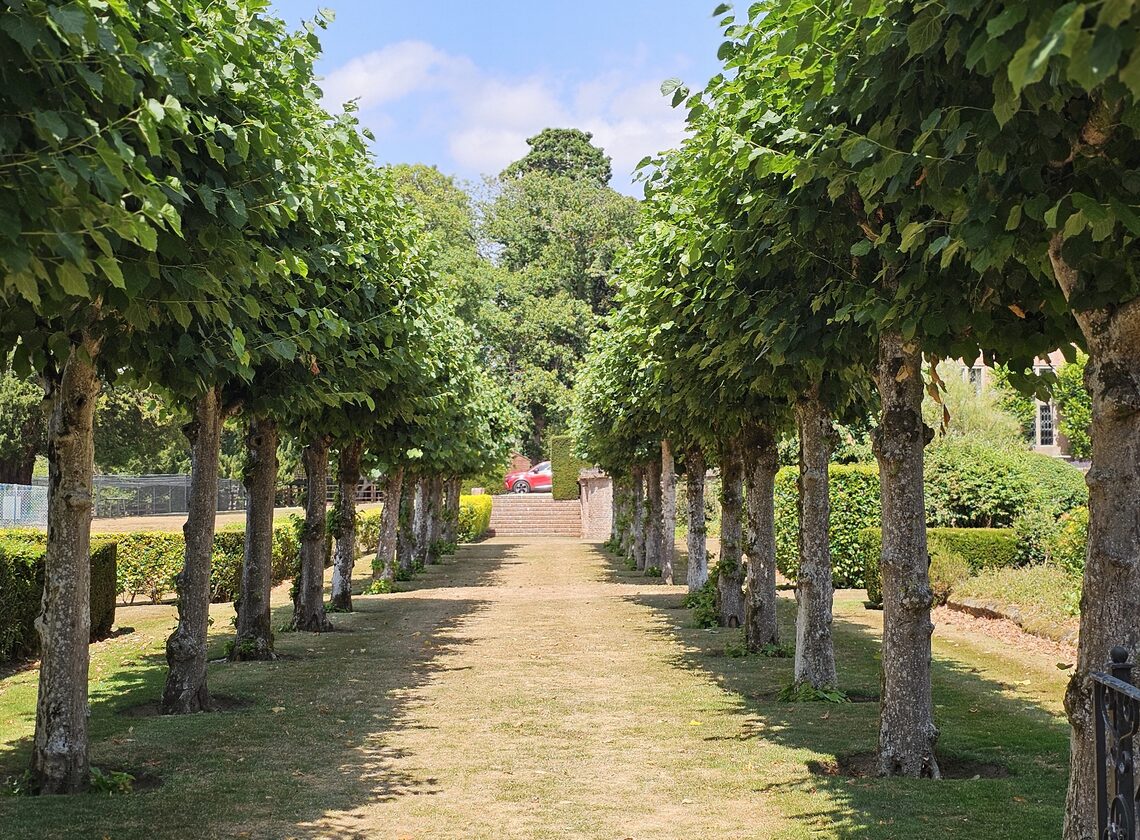 Tree-lined avenue through the grounds