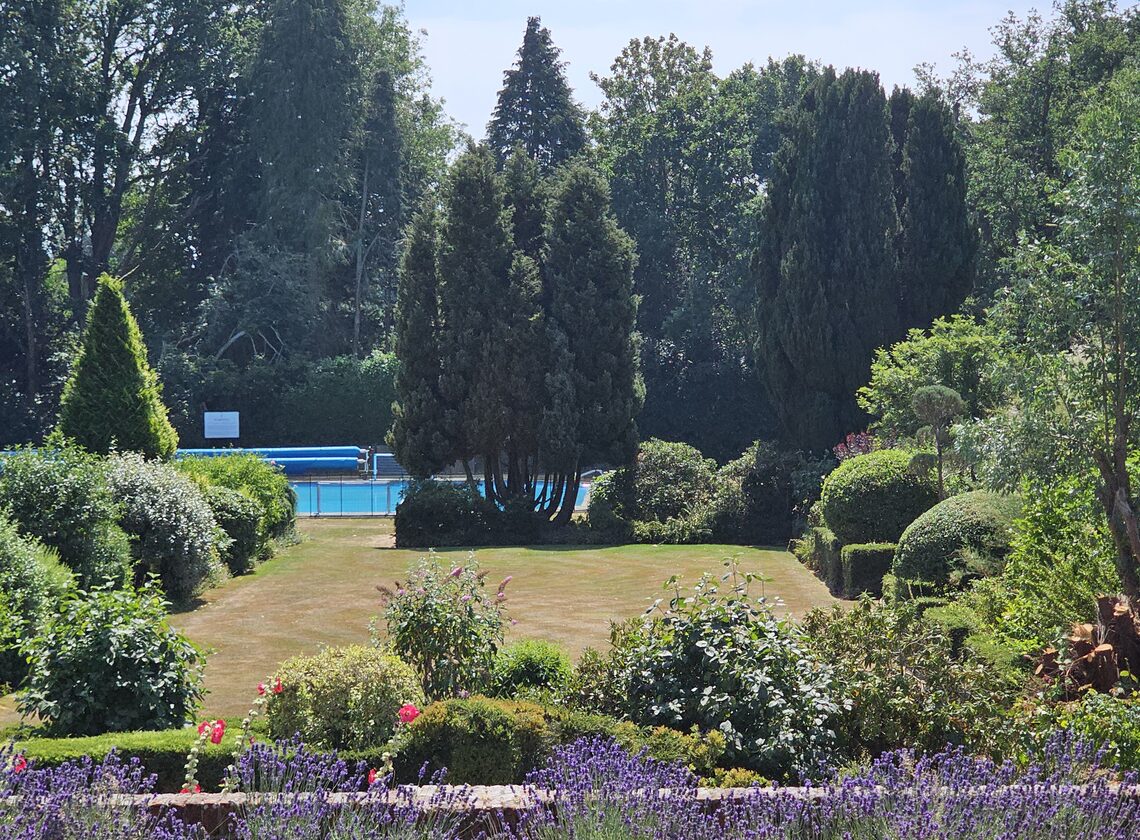 Landscaped gardens looking towards the pool