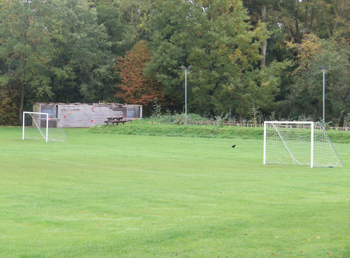 Grass pitches and outdoor space